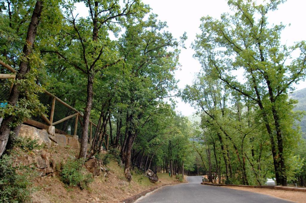 מלון Camping Gavín מראה חיצוני תמונה